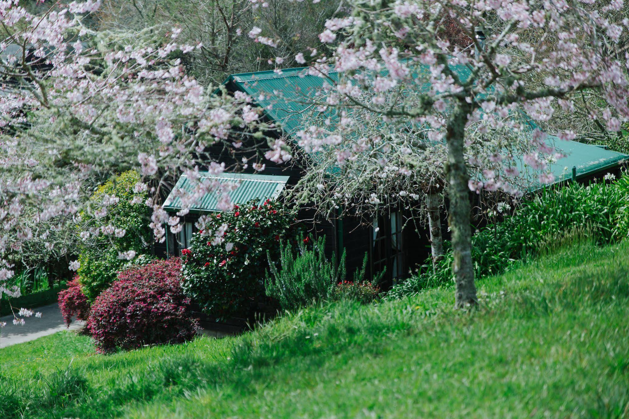 Vineyard Cottages - Kumeu Waimauku Extérieur photo